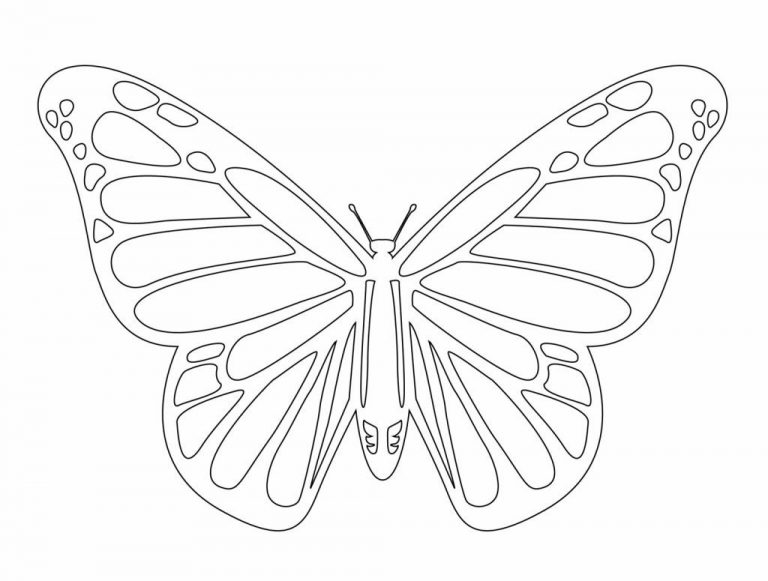 Free Butterfly Patterns Printable Template